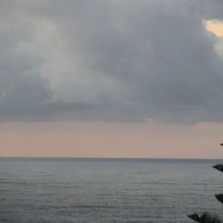 Chill Hill & Private - Sea Food *