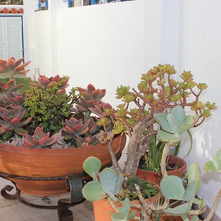 Hostel Chill Hill & Private - Sea Food Ericeira