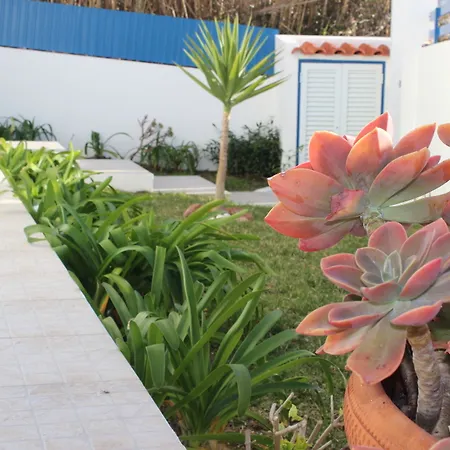 Chill Hill & Private - Sea Food * Ericeira